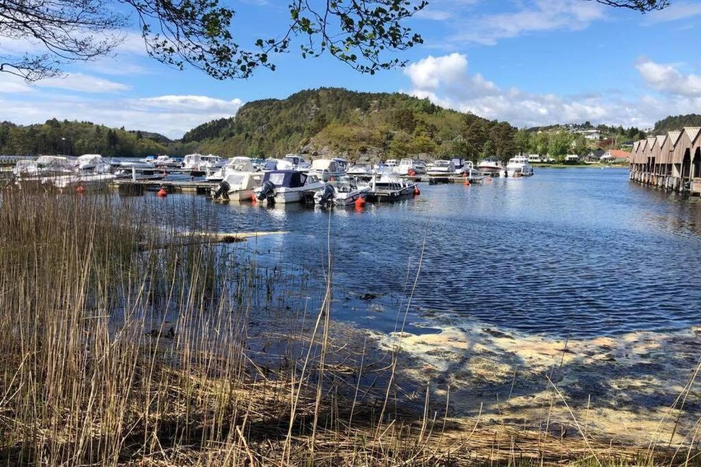 Mandal Apartment Mit Moeglichkeit Ein Boot Zu Benutzen Und Angeln Bagian luar foto